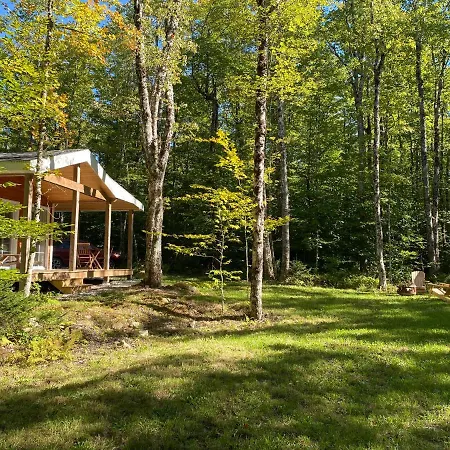 Bear Cabin - Forest Retreat Nearby Lake - Not On Waterfront East Kemptville Exterior photo