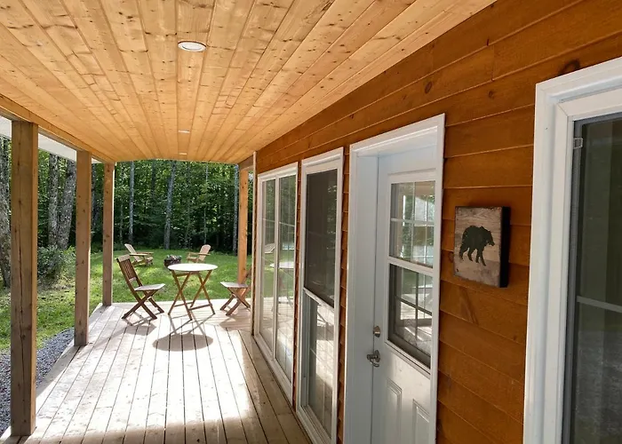 Bear Cabin - Forest Retreat Nearby Lake - Not On Waterfront