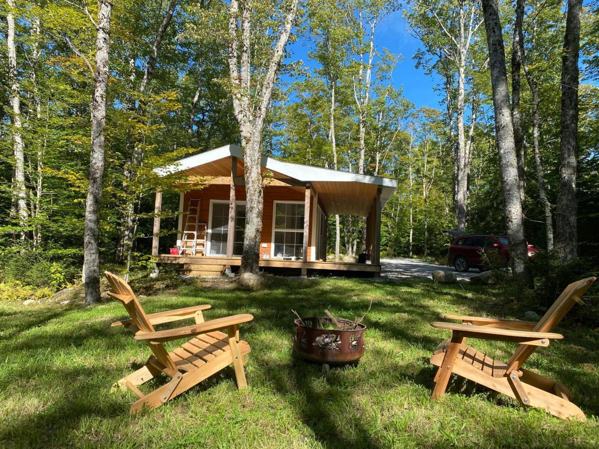 Holiday home Bear - Forest Retreat Nearby - Not On Waterfront