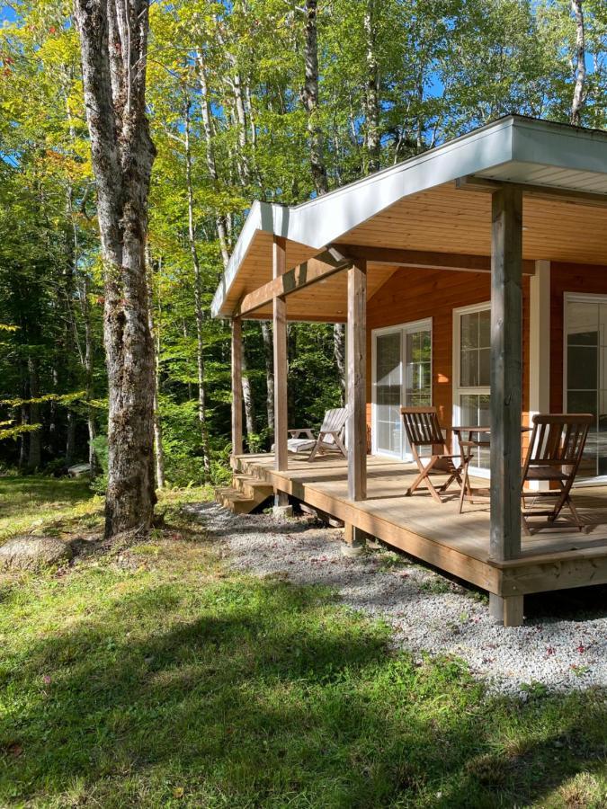 Holiday home Bear - Forest Retreat Nearby - Not On Waterfront
