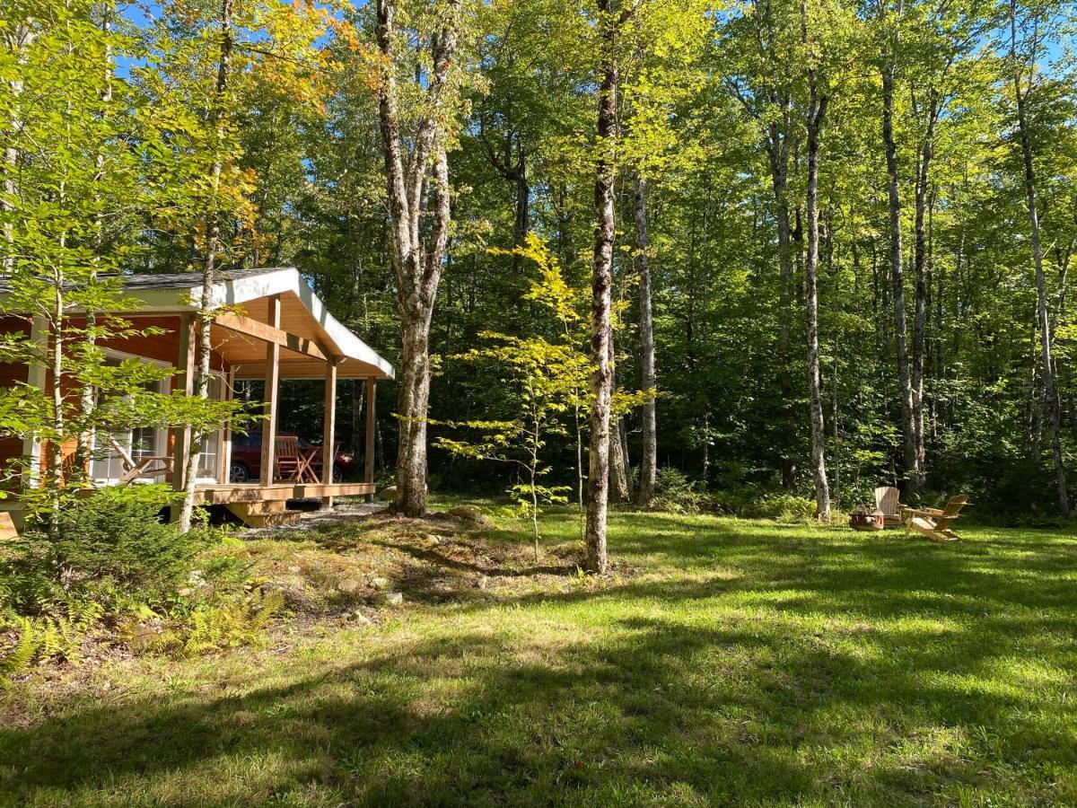 Bear - Forest Retreat Nearby - Not On Waterfront Holiday home