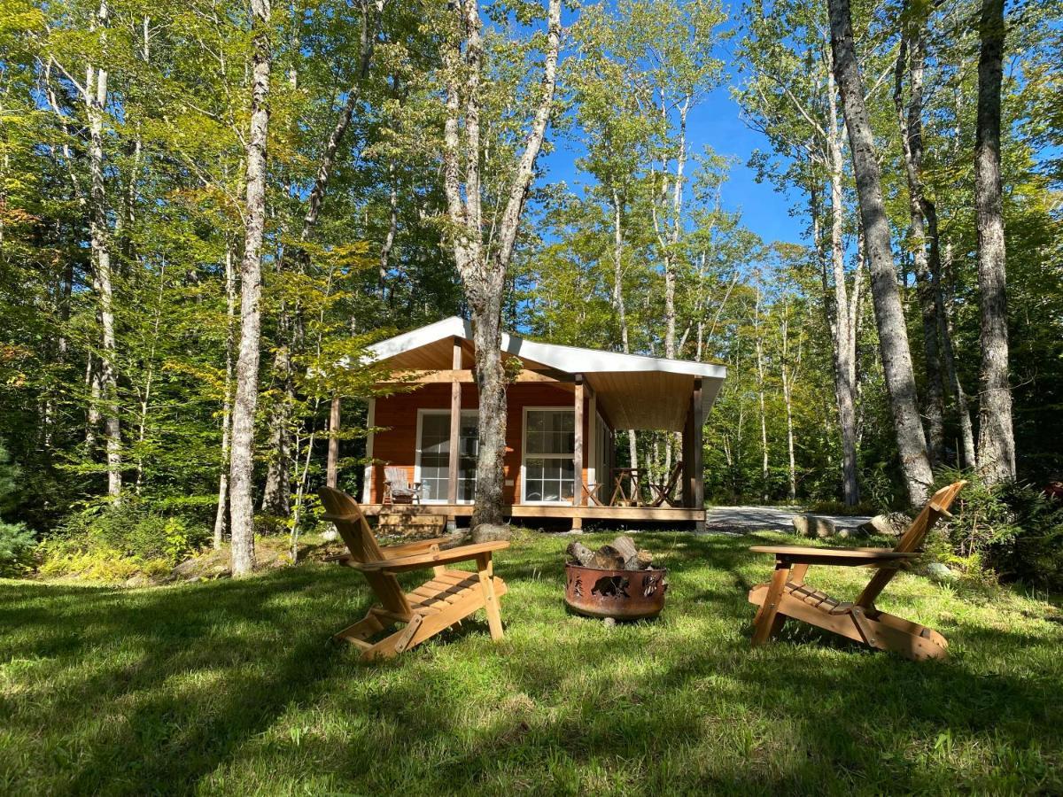 Bear - Forest Retreat Nearby - Not On Waterfront