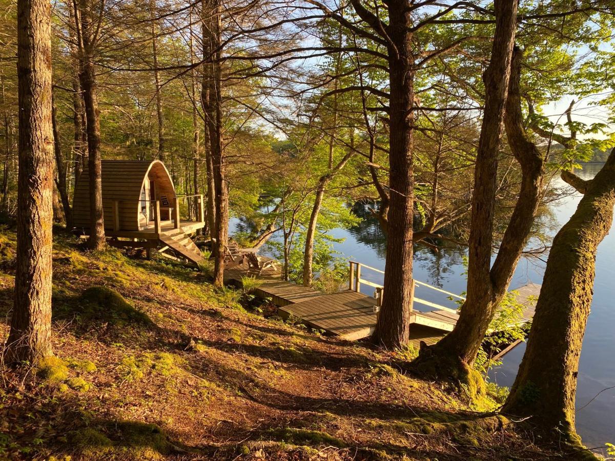 Bear - Forest Retreat Nearby - Not On Waterfront Holiday home *